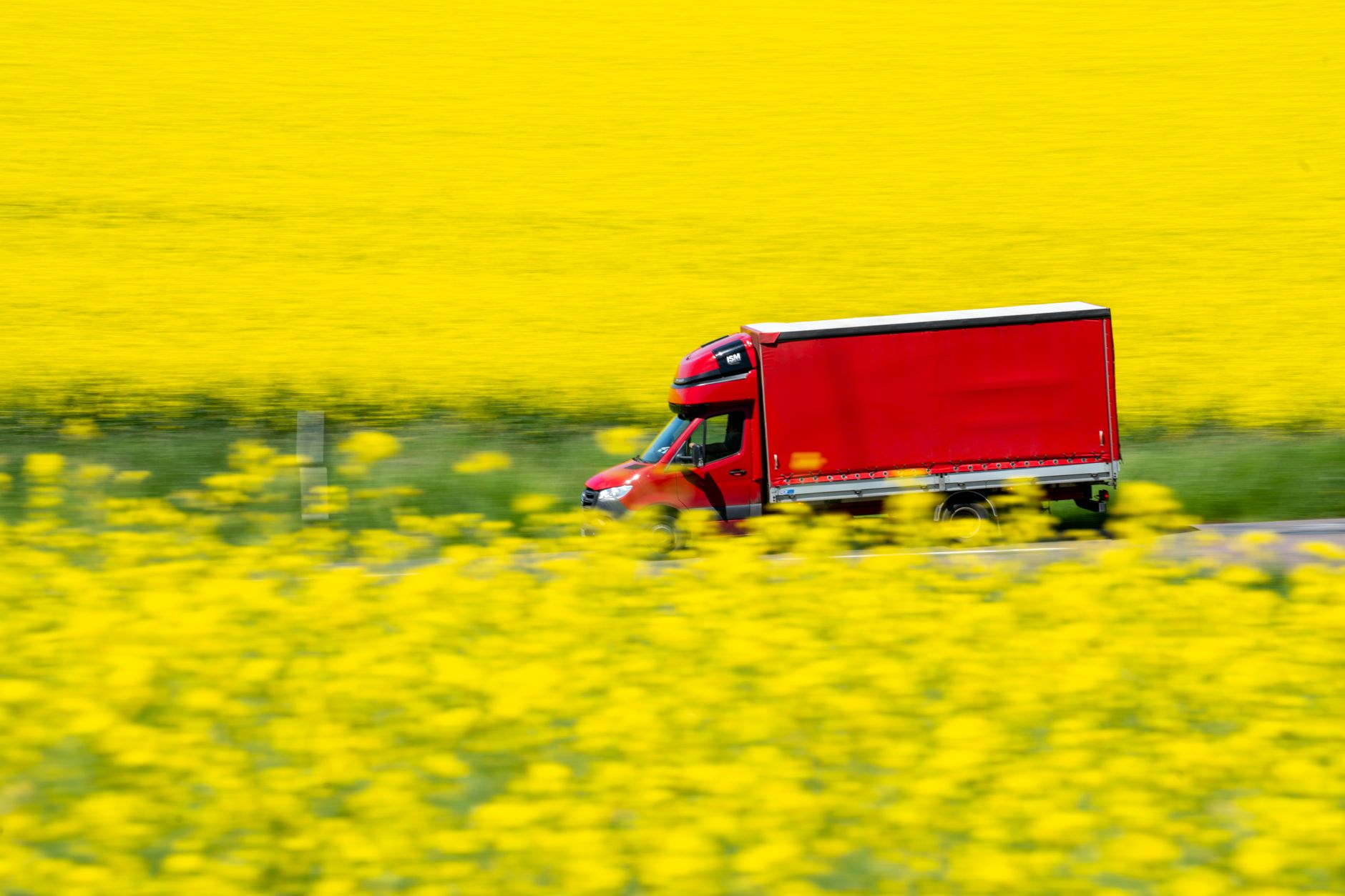 How Does Self-Employment Affect My Earnings?