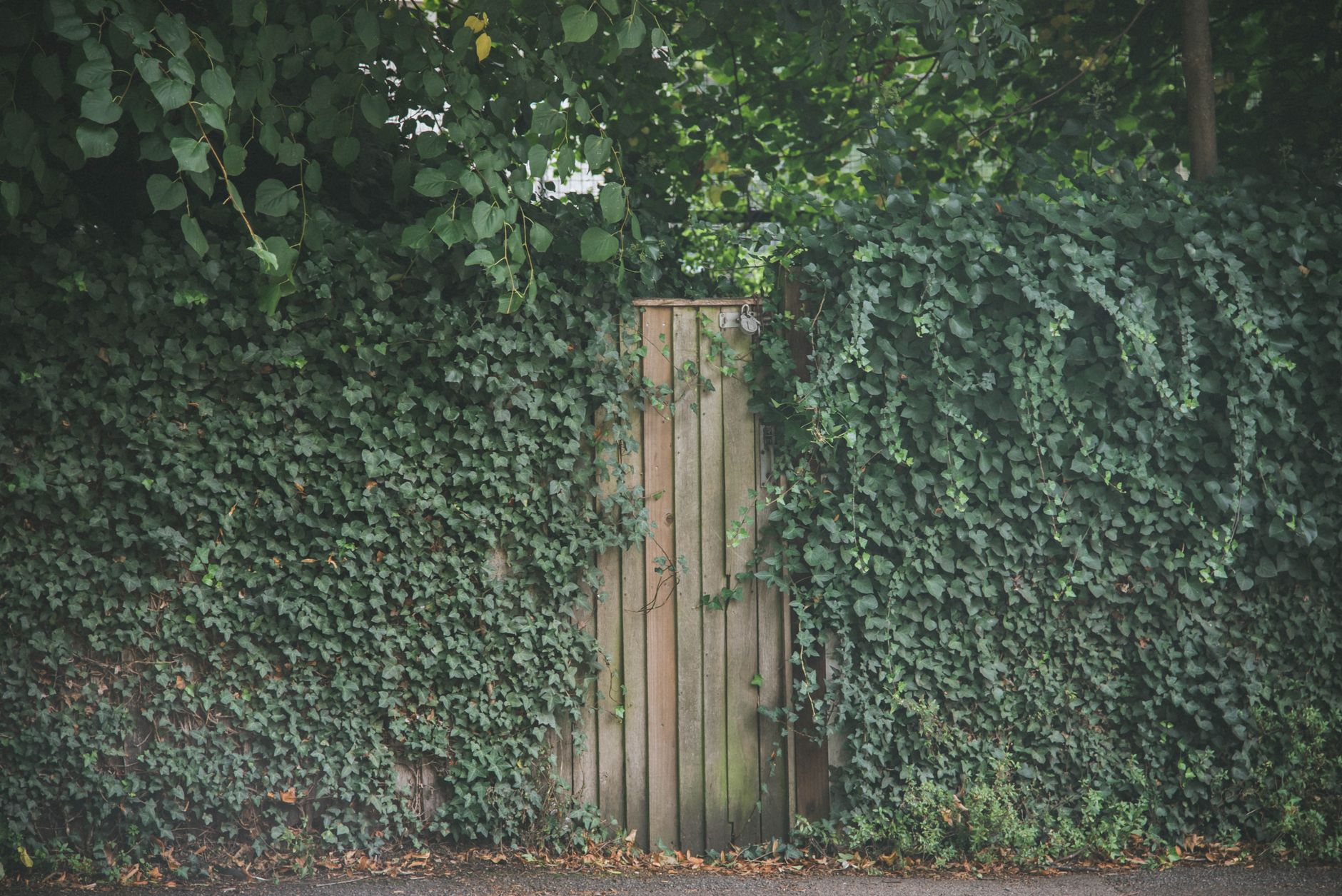 Two ordinary delivery crew members carrying a boxed dishwasher through an open garden gate towards a UK terraced home,…